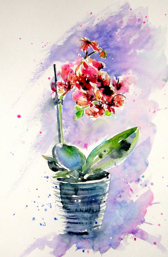 Still life with orchid