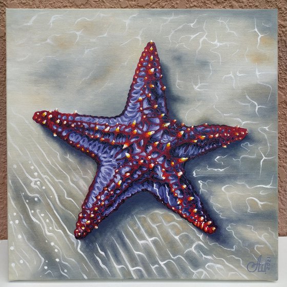 Starfish