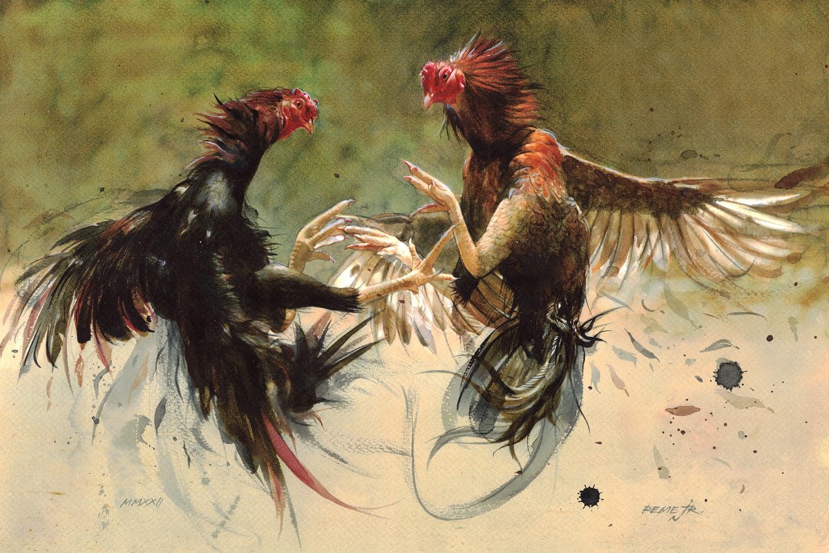 Photorealistic Animal Watercolour By Reme Jr., 18 X 12", Roosters Battle, Original Artwork