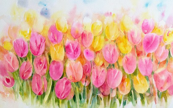 Tulip Symphony