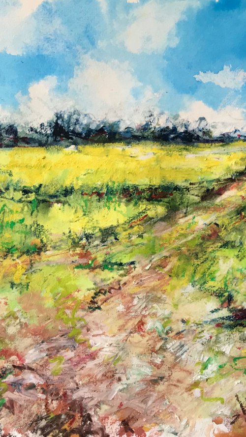 Rapeseed Field by Andrew Moodie