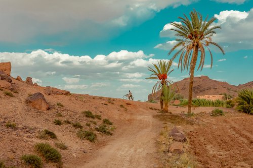 Maroc by Lionel Le Jeune