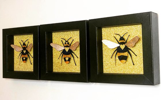 Bee the One (x 3)