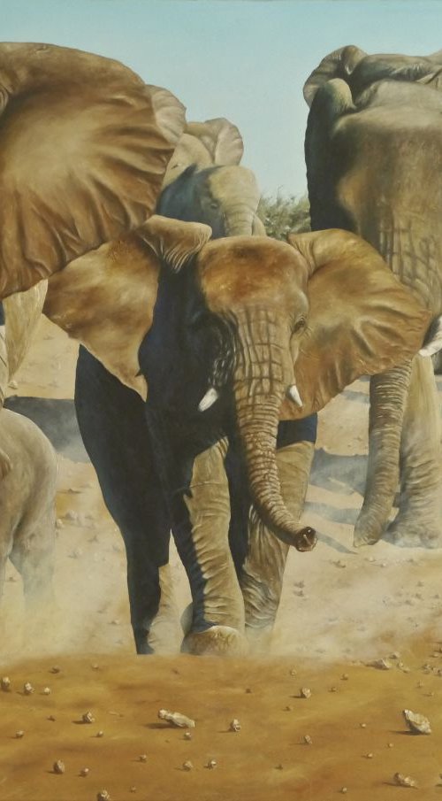 The herd by Tony Berriman