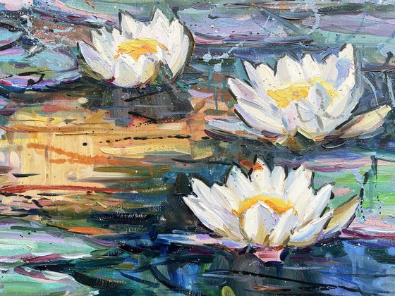 "Water lilies"