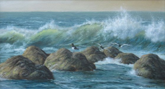 Waves & Oystercatchers