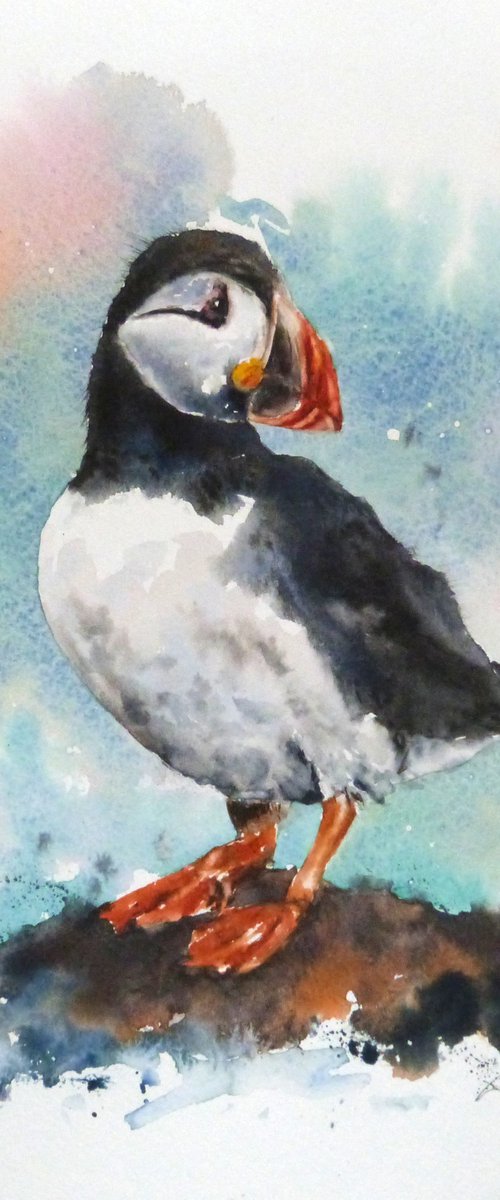 Puffin by Graham Kemp