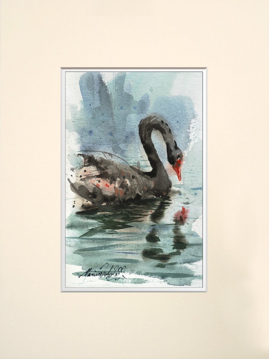 Reflected Black Swan in green waters, original watercolour painting.2022 by Marin Victor
