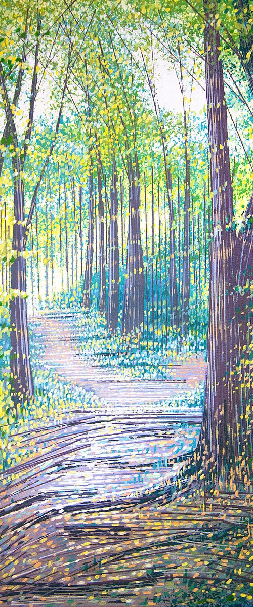 Sunlit Spring Forest Path by Marc Todd