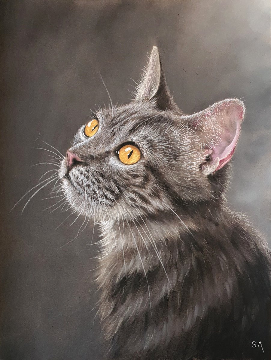 Cats Eyes Xlll by Sean Afford