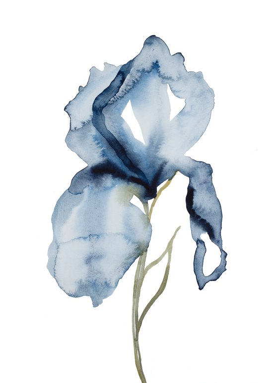 Iris No. 131