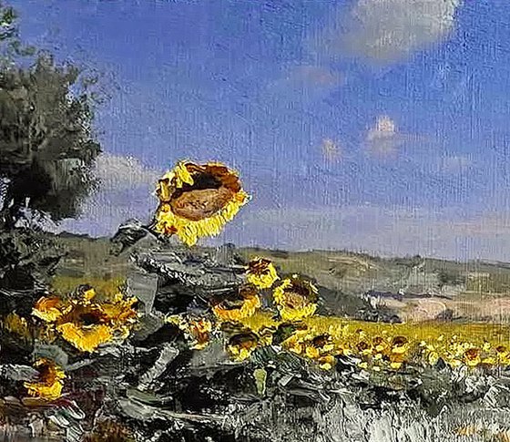 Summer field