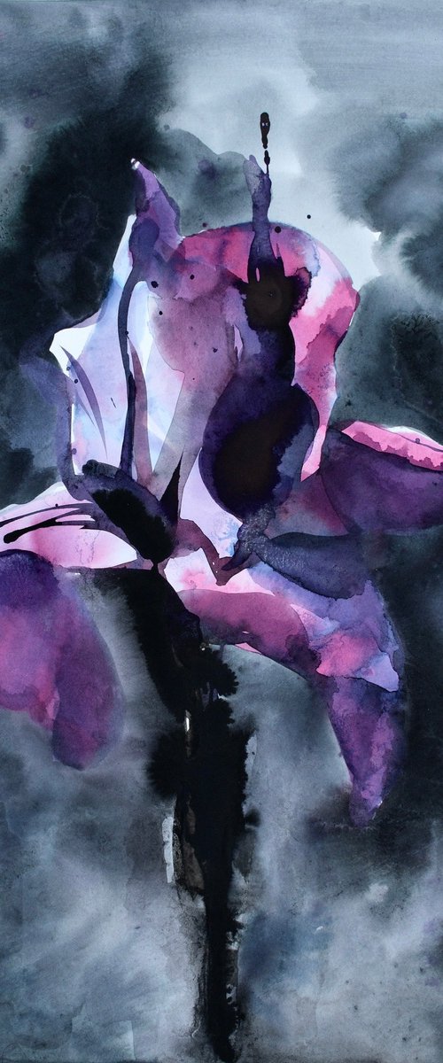 Iris of Shadows by Belyaeva Oleksandra