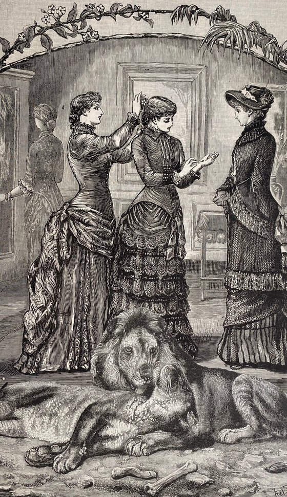Dressing with the lions