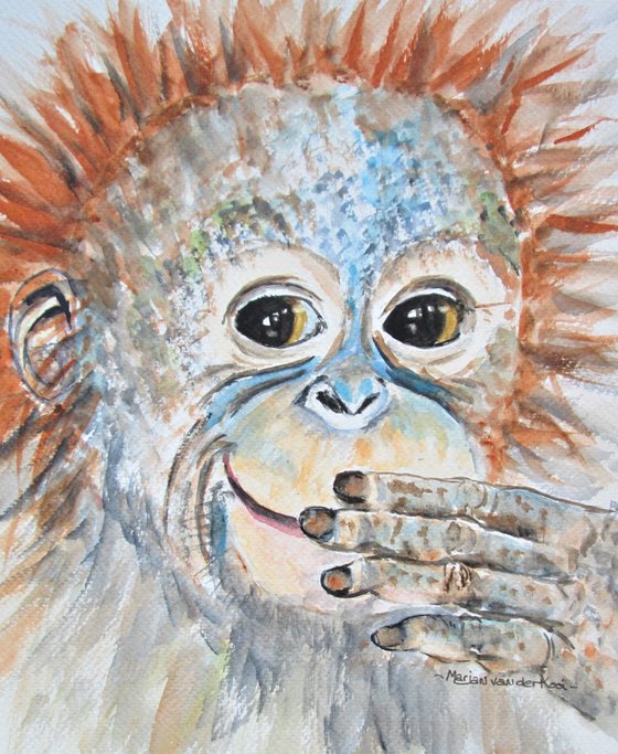 Orangutan Monkey