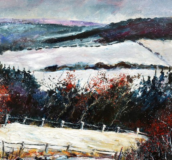 Bois Jacques in winter