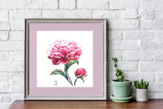 "Peony flower" original botanical watercolor square format