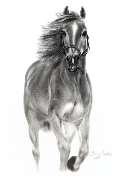 Oil painting ,, Horse ACE ,, by Deimante Bruzguliene