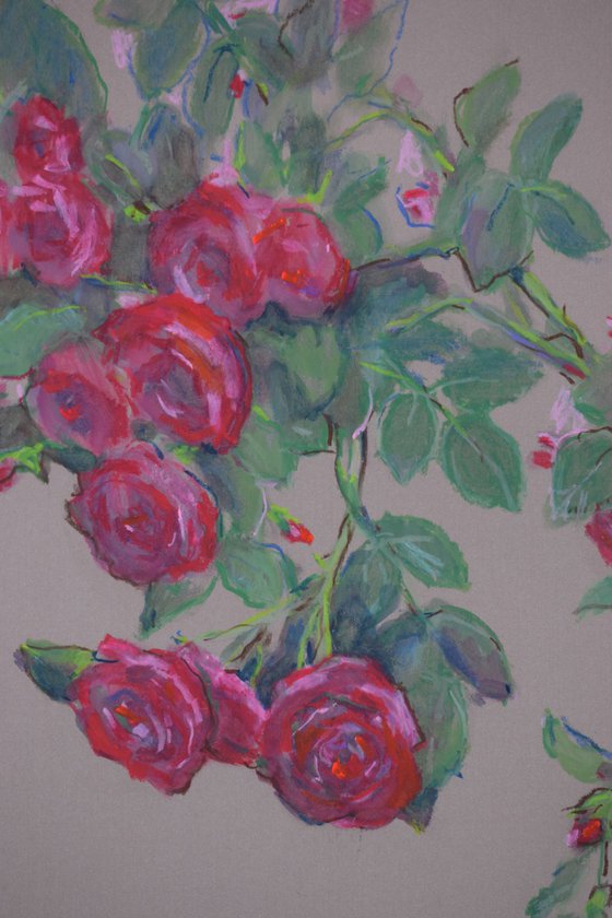 Pink Tango