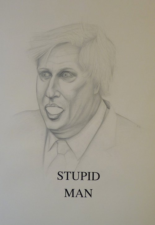 BoJo (Stupid Man) by Mackenzie Scott Clowes