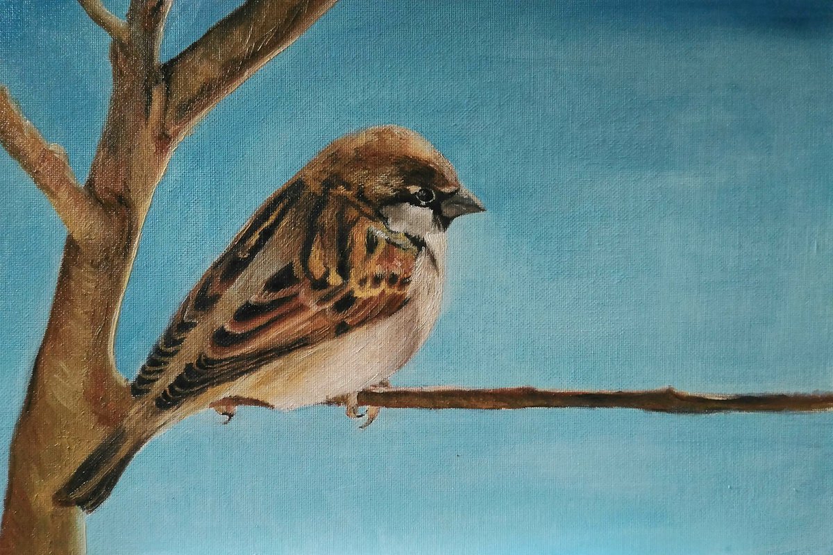 Photorealistic Animal Oil Painting By Laura Muolo, 12 X 8", Little Bird, Original Artwork