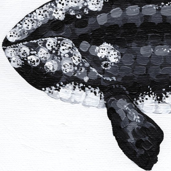 Right Whale