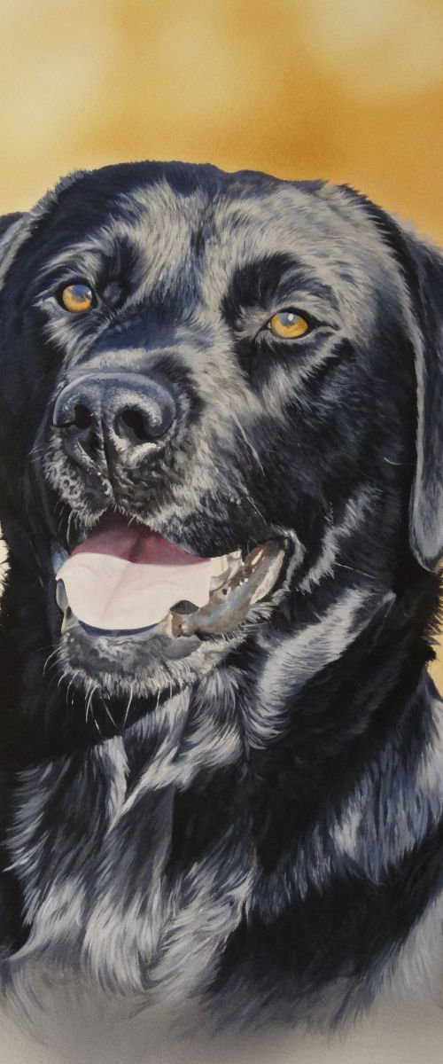 Ben by Julian Wheat
