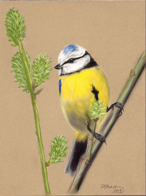 Pastel drawing on Paper ,, Bird'' by Deimante Bruzguliene