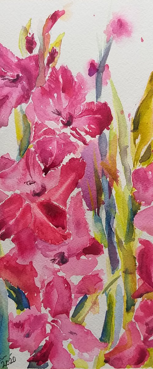 Gladioli flowers watercolor by Geeta Yerra