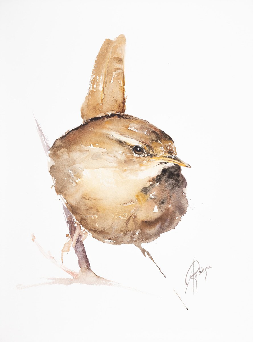 Animal Watercolour By Andrzej Rabiega, 9 X 12, Wren, Original Artwork