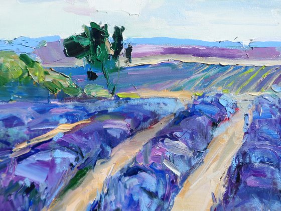 "  lavender "