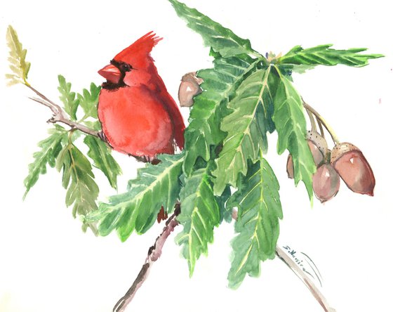 Cardinal Bird and Oak Tree