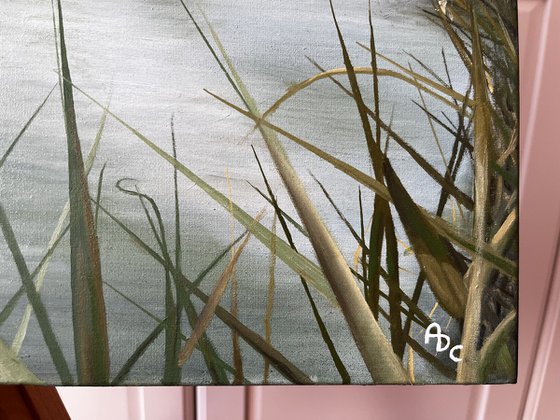 Whispers of the Sebino Wetlands