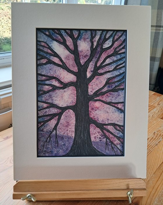 Forever Seeking Calmness