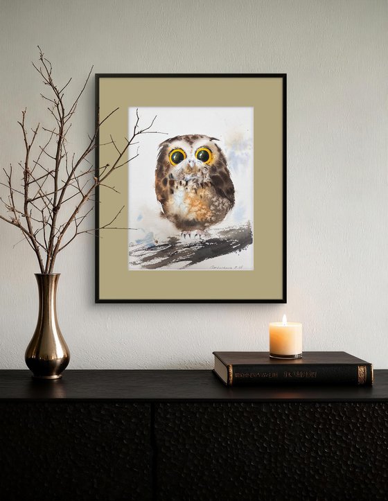 Amber-Eyed Owlet