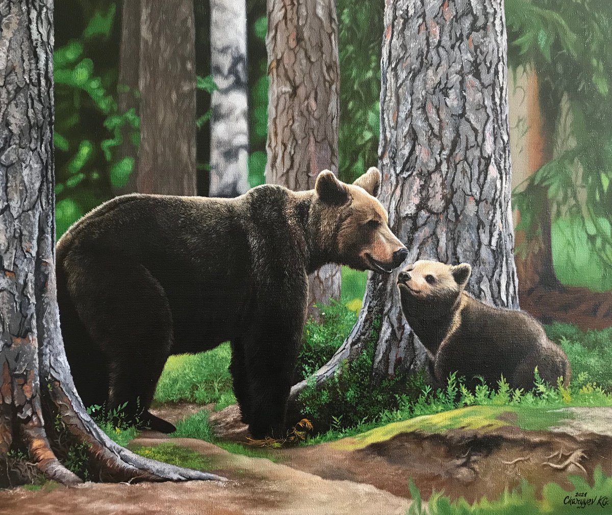 Bears in the coniferous forest by Kakajan Charyyev