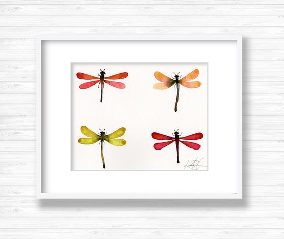 Four Dragonflies