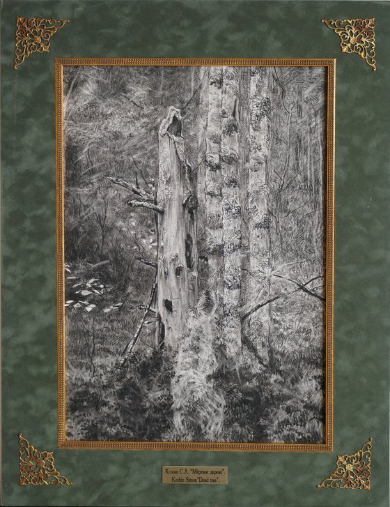 Dead tree