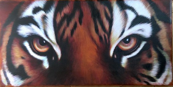 Large Tiger Eyes