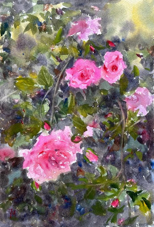 Roses by Shelly Du