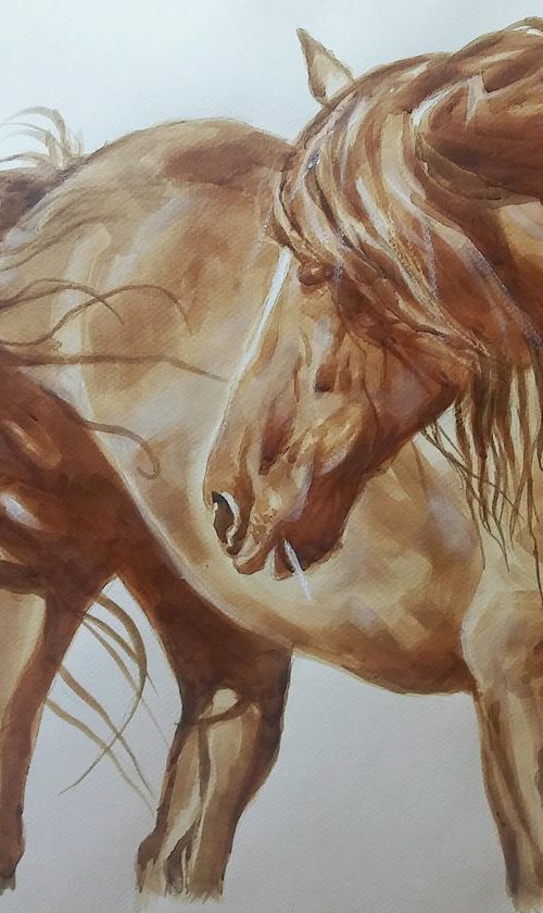 Wild Horse II by Magdalena Palega