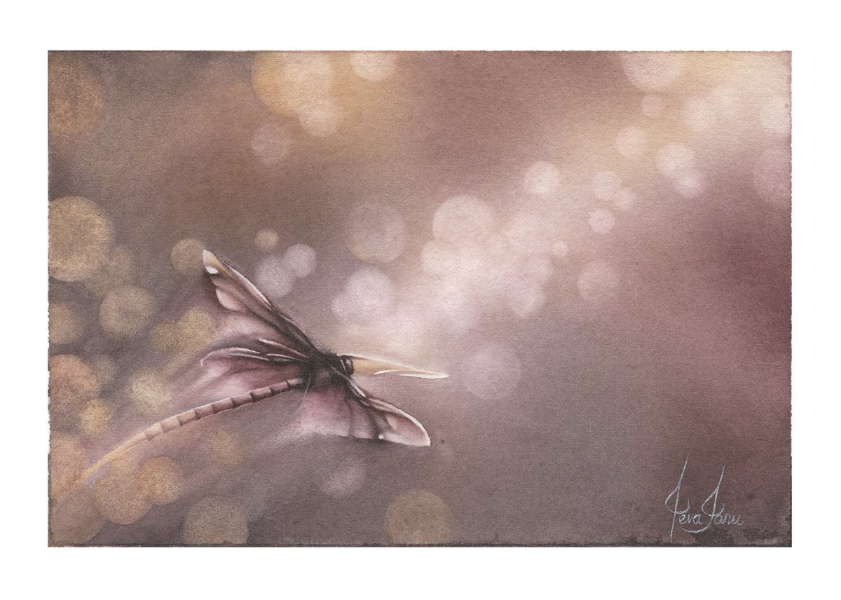 Glimpse XII - Sunset Dragonfly Watercolor Painting by ieva Janu