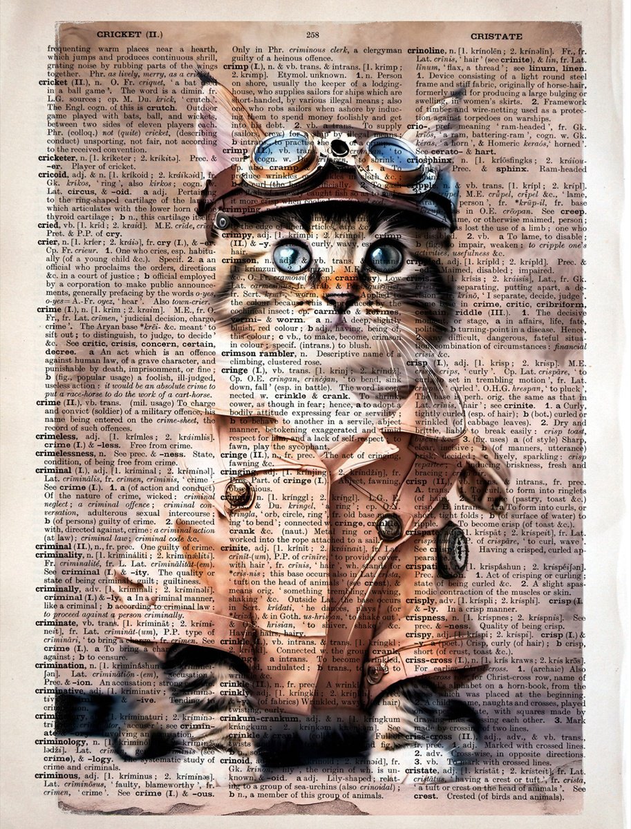 Aviator Dressed Kitty by Misty Lady - M. Nierobisz