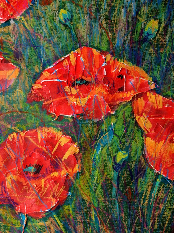 Poppies 4