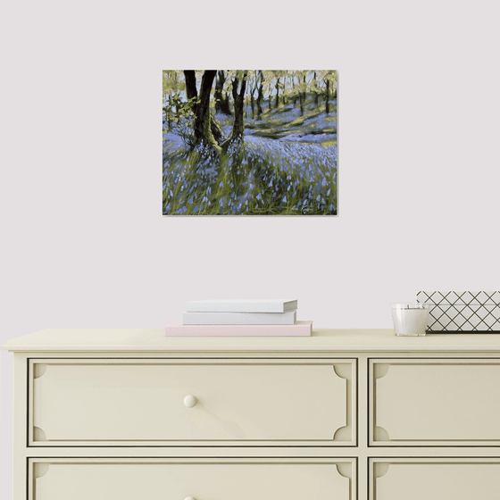 Bluebell wood