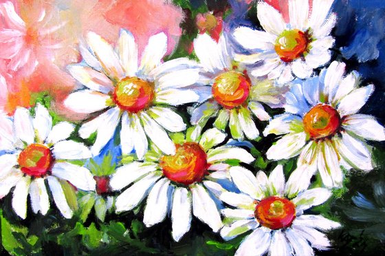 Daisies