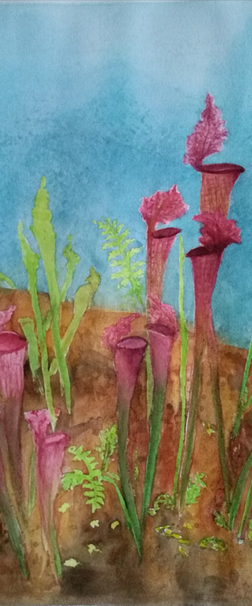 The Pitcher Plant Patch by Daniela Roughsedge