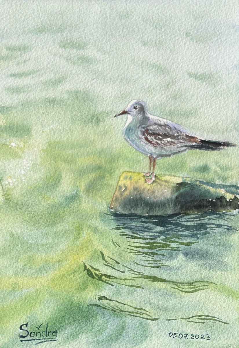 Impressionistic Watercolour , Sea - ? - ?Bird By Oleksandra Padushyna, 7 X 10, Artwork For Sale On Artfinder