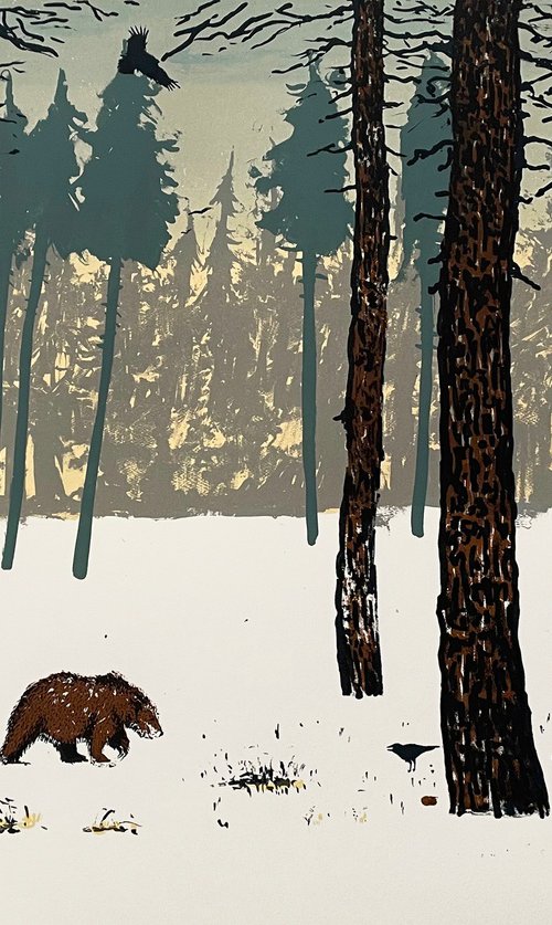 Winter Woods by Tim Southall