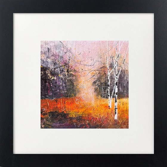 Colours of Autumn, Silver Birches